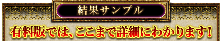結果サンプル 有料版では、ここまで詳細にわかります! 結果サンプル 有料版では、ここまで詳細にわかります!