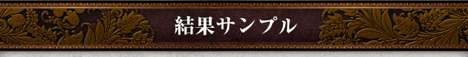 結果サンプル