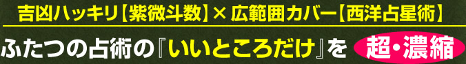 吉凶ハッキリ【紫微斗数】×広範囲カバー【西洋占星術】ふたつの占術の『いいところだけ』を超・濃縮