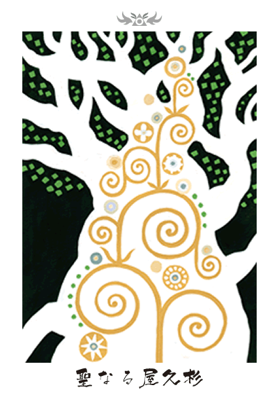 聖なる屋久杉 聖なる屋久杉